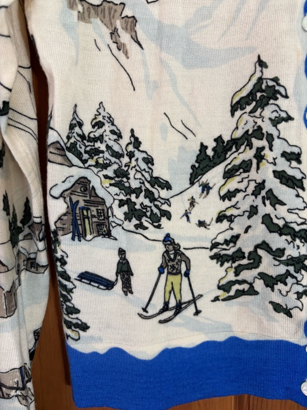Rare Collectable J.Crew Vintage Ski Scene Sweater Merino Wool Size Small - Picture 4 of 12